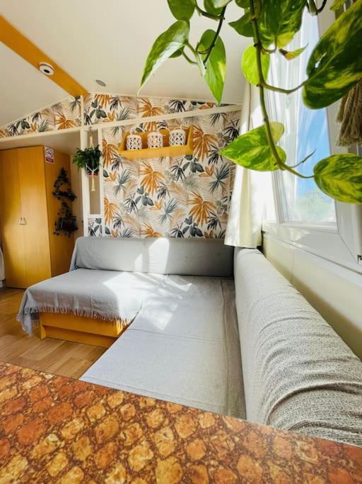 Eco Surf House En Hozanejos - Andalucia Cadiz