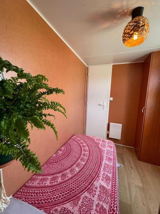Eco Surf House En Hozanejos - Andalucia Cadis